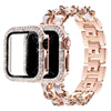 Carpe Luxe Stalen Leren Bandje + Case