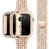 Deliciae Luxe Bandje + Case - Astra Straps