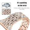 Deliciae Luxe Bandje + Case - Astra Straps